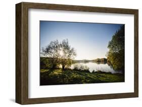 Obersee in Bielefeld Schildesche after the sunrise.-Nadja Jacke-Framed Photographic Print