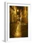 Obidos, Portugal, night, street scene-George Theodore-Framed Photographic Print