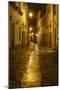 Obidos, Portugal, night, street scene-George Theodore-Mounted Photographic Print