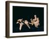 Object from Mohenjodaro, Indus Valley Civilisation, Karachi Museum, Karachi, Pakistan-Robert Harding-Framed Photographic Print