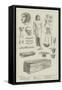 Objects 5500 Years Old, Recently Found at Deshasheh, Egypt, by Professor Flinders Petrie-null-Framed Stretched Canvas