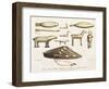 Objects Carved from Walrus Tooth by Gulf of Kotzebue and Cuctchis Inhabitants-Louis Choris-Framed Giclee Print