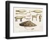 Objects Carved from Walrus Tooth by Gulf of Kotzebue and Cuctchis Inhabitants-Louis Choris-Framed Giclee Print