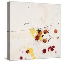 Objects in Motion II-Kari Taylor-Stretched Canvas