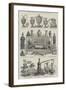 Objects of Interest at the Ryde Art Treasures Exhibition-null-Framed Giclee Print