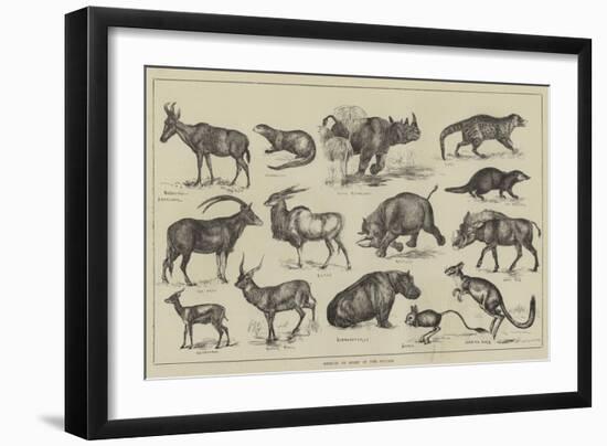 Objects of Sport in the Soudan-null-Framed Giclee Print