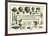 Objects of the Chontaquiros Indians 1869 Peru-null-Framed Giclee Print