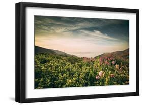 Obscurity - Smokey Sunrise at Golden Gate Bridge, San Francisco-Vincent James-Framed Photographic Print