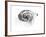 Observation of a Spiral Galaxy in Canes Venatici Drawn by Lord Rosse, 1850-null-Framed Giclee Print