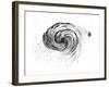 Observation of a Spiral Galaxy in Canes Venatici Drawn by Lord Rosse, 1850-null-Framed Giclee Print