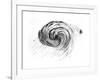 Observation of a Spiral Galaxy in Canes Venatici Drawn by Lord Rosse, 1850-null-Framed Giclee Print