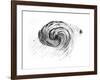 Observation of a Spiral Galaxy in Canes Venatici Drawn by Lord Rosse, 1850-null-Framed Giclee Print