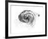 Observation of a Spiral Galaxy in Canes Venatici Drawn by Lord Rosse, 1850-null-Framed Giclee Print