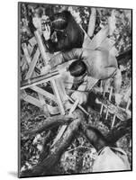 Observation Post in a Tree, Woevre, France, World War I, C1914-null-Mounted Giclee Print