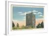 Observation Tower, Mt. Mitchell-null-Framed Art Print