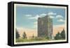 Observation Tower, Mt. Mitchell-null-Framed Stretched Canvas