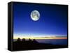 Observatories At Mauna Kea, Hawaii, with Full Moon-David Nunuk-Framed Stretched Canvas