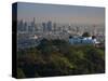 Observatory on a Hill Near Downtown, Griffith Park Observatory, Los Angeles, California, USA-null-Stretched Canvas