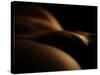 Observing Venus Planet-Fulvio Pellegrini-Stretched Canvas