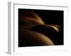 Observing Venus Planet-Fulvio Pellegrini-Framed Photographic Print