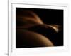 Observing Venus Planet-Fulvio Pellegrini-Framed Photographic Print