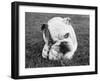 Obsess-Sharon Beals-Framed Photographic Print