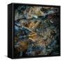 Obsidian-Doug Chinnery-Framed Stretched Canvas