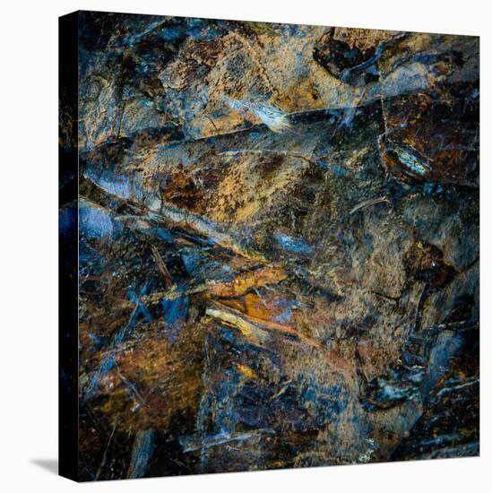 Obsidian-Doug Chinnery-Stretched Canvas