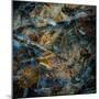 Obsidian-Doug Chinnery-Mounted Photographic Print