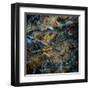 Obsidian-Doug Chinnery-Framed Premium Photographic Print