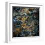 Obsidian-Doug Chinnery-Framed Premium Photographic Print