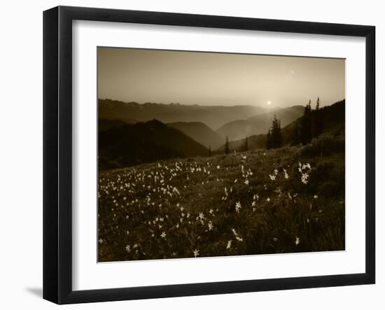 Obstruction Point at Sunset, Olympic National Park, Washington State, USA-Rob Tilley-Framed Premium Photographic Print