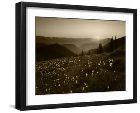 Obstruction Point at Sunset, Olympic National Park, Washington State, USA-Rob Tilley-Framed Premium Photographic Print
