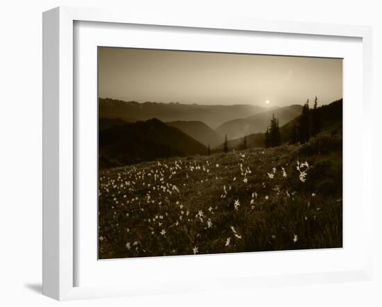 Obstruction Point at Sunset, Olympic National Park, Washington State, USA-Rob Tilley-Framed Premium Photographic Print