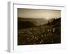 Obstruction Point at Sunset, Olympic National Park, Washington State, USA-Rob Tilley-Framed Photographic Print