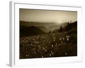 Obstruction Point at Sunset, Olympic National Park, Washington State, USA-Rob Tilley-Framed Photographic Print