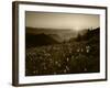 Obstruction Point at Sunset, Olympic National Park, Washington State, USA-Rob Tilley-Framed Photographic Print