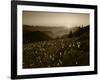 Obstruction Point at Sunset, Olympic National Park, Washington State, USA-Rob Tilley-Framed Photographic Print