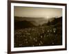 Obstruction Point at Sunset, Olympic National Park, Washington State, USA-Rob Tilley-Framed Photographic Print