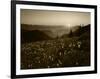 Obstruction Point at Sunset, Olympic National Park, Washington State, USA-Rob Tilley-Framed Photographic Print