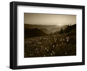 Obstruction Point at Sunset, Olympic National Park, Washington State, USA-Rob Tilley-Framed Photographic Print