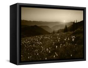 Obstruction Point at Sunset, Olympic National Park, Washington State, USA-Rob Tilley-Framed Stretched Canvas