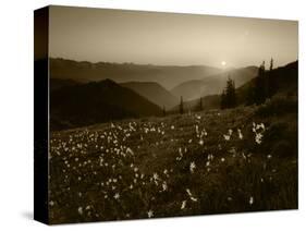 Obstruction Point at Sunset, Olympic National Park, Washington State, USA-Rob Tilley-Stretched Canvas