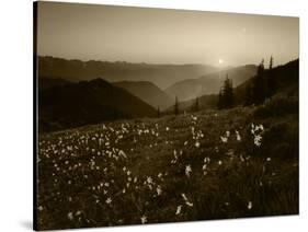 Obstruction Point at Sunset, Olympic National Park, Washington State, USA-Rob Tilley-Stretched Canvas