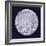 Obverse of a Medal Commemorating the Brilliant Comet of November 1618-null-Framed Photographic Print