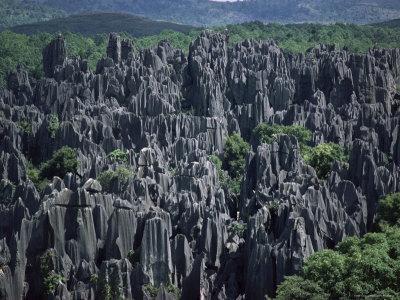 Patagonia | Anderson Design Group