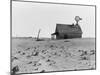 Occupied house in Dalhart, Texas where most are abandoned in the drought, 1938-Dorothea Lange-Mounted Photographic Print