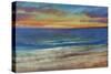 Ocean 11-Tim O'toole-Stretched Canvas