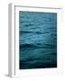 Ocean 15-Ian Winstanley-Framed Photographic Print