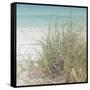 Ocean Air II-Susan Bryant-Framed Stretched Canvas